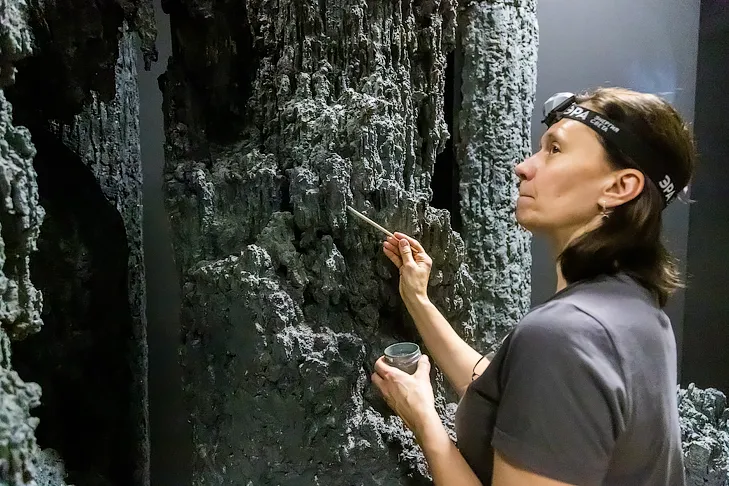 Фото VN.ru 2025-11-25_ЗаржецкийА_0277.webp