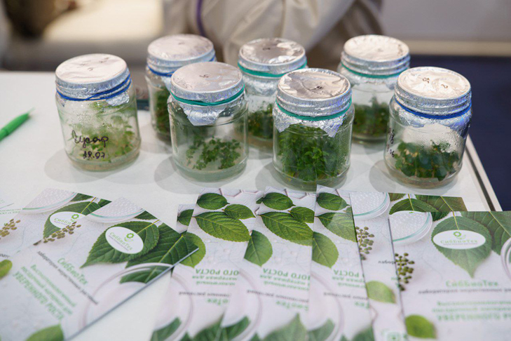 photo_2025-08-29_14-34-26 (6).jpg