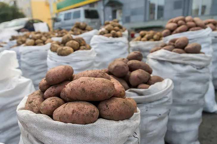 Фото Андрея Заржецкого