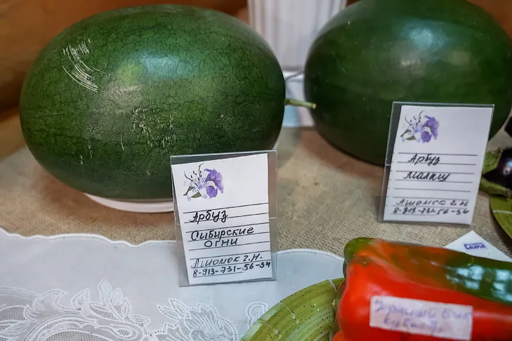 Фото Андрея Заржецкого Фото Андрея Заржецкого