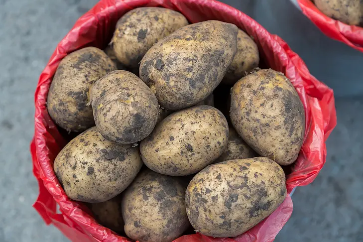 Фото Андрея Заржецкого