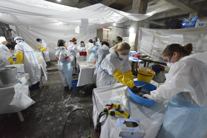 фото Николай Шпилёнок Фонд защиты природы 