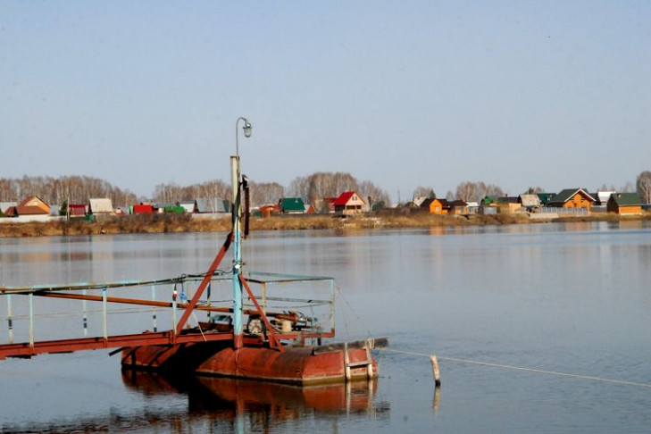 МВД проверяет исчезновение рыбы вместе с прудом СО РАН