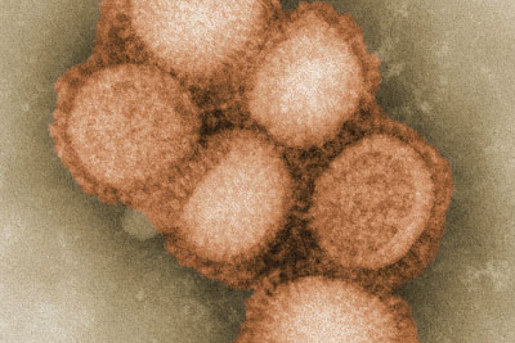 Вакцина от свиного гриппа