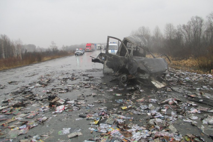 МВД: виновник страшного ДТП под Новосибирском уснул за рулем