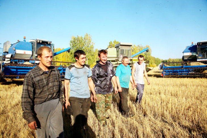 Спк (сталепромышленная компания). Спк мирный. Спк мирный. Совхоз новый мирный. Спк мирный.