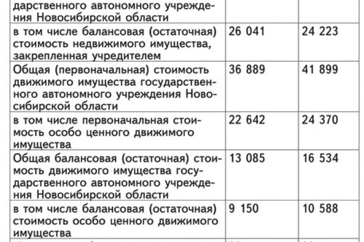 Отчеты о деятельности и об использовании имущества «Болотнинский психоневрологический интернат» от 25.05.2015
