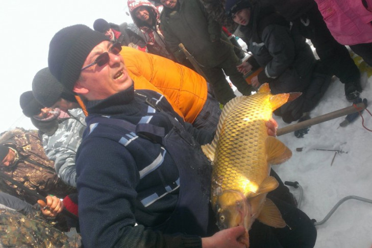 Толпа рыбаков поймала сазанов-гигантов под Новосибирском (видео)