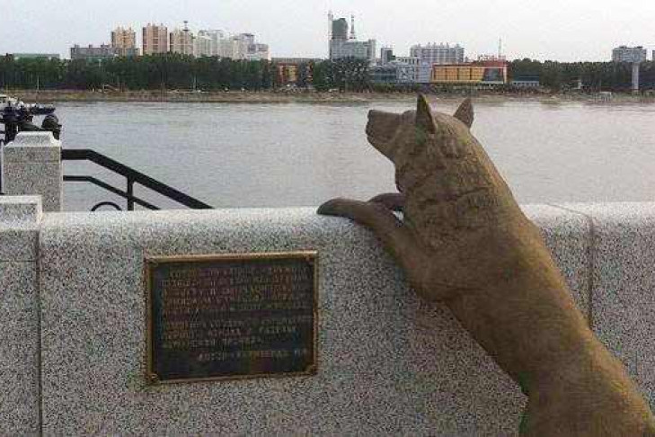 В России установлен памятник самой преданной собаке