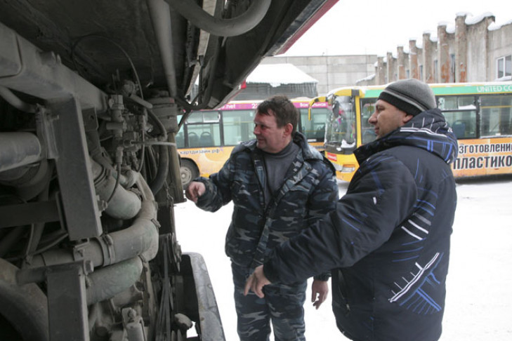 637 коммерческих и 98 муниципальных автобусов – общественный транспорт в Новосибирске